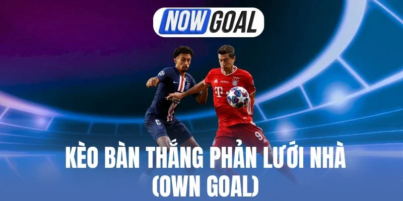Chiến thuật đầu tư kèo Own Goal