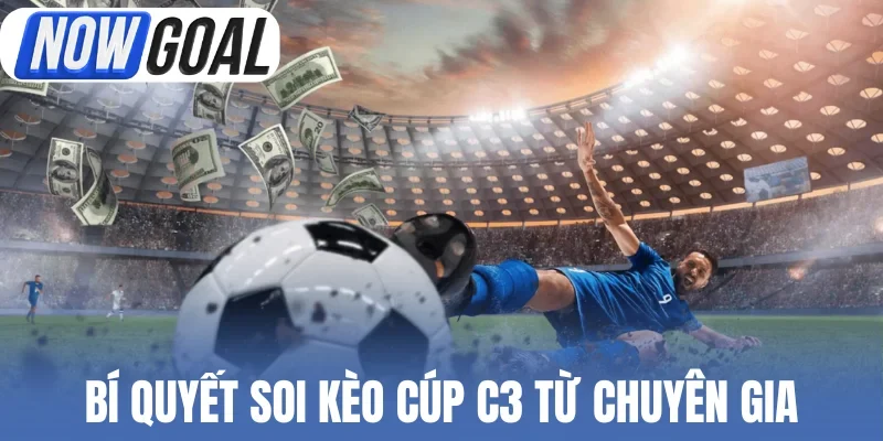 Bí quyết soi kèo cúp C3 từ chuyên gia