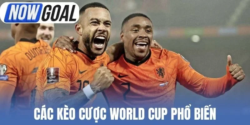 Các kèo cược World Cup phổ biến