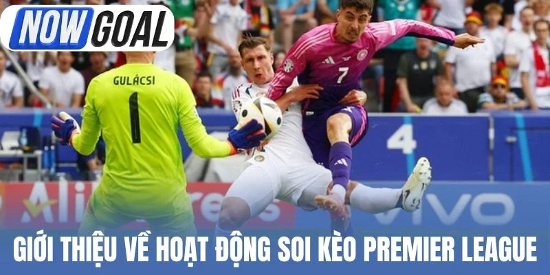 Giới thiệu về hoạt động soi kèo Premier League