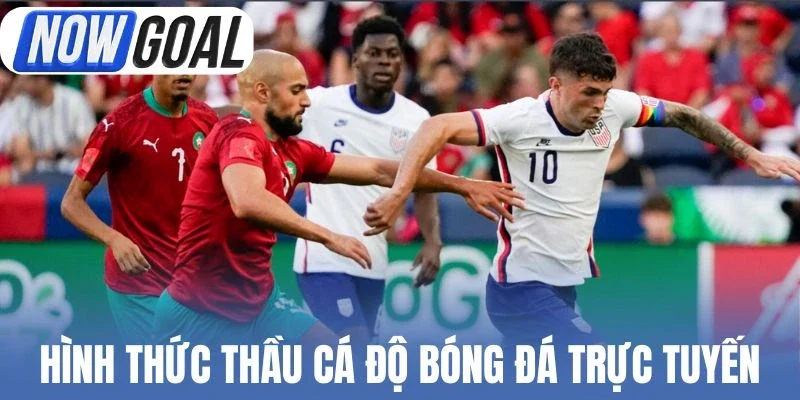Hình thức thầu cá độ bóng đá trực tuyến