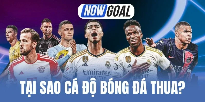Tại Sao Cá Độ Bóng Đá Thua? Nguyên Nhân Và Mẹo Chốt Kèo Ngon