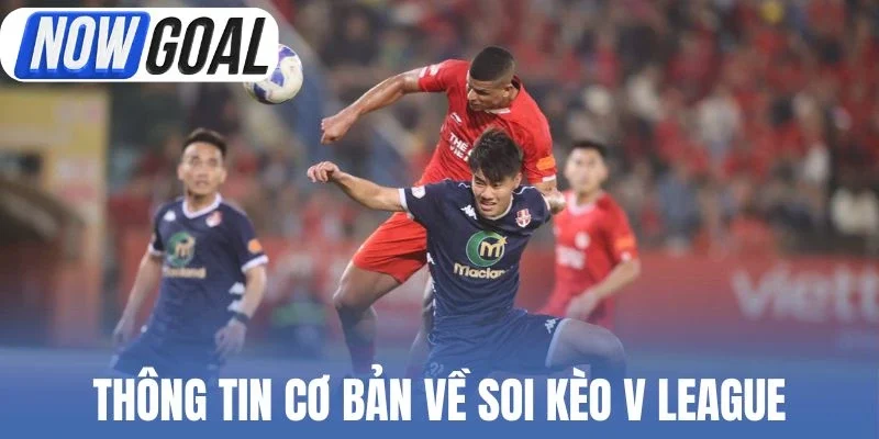 Thông tin cơ bản về soi kèo V League