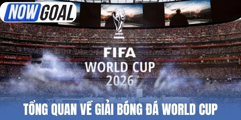 Tổng quan về giải bóng đá World Cup